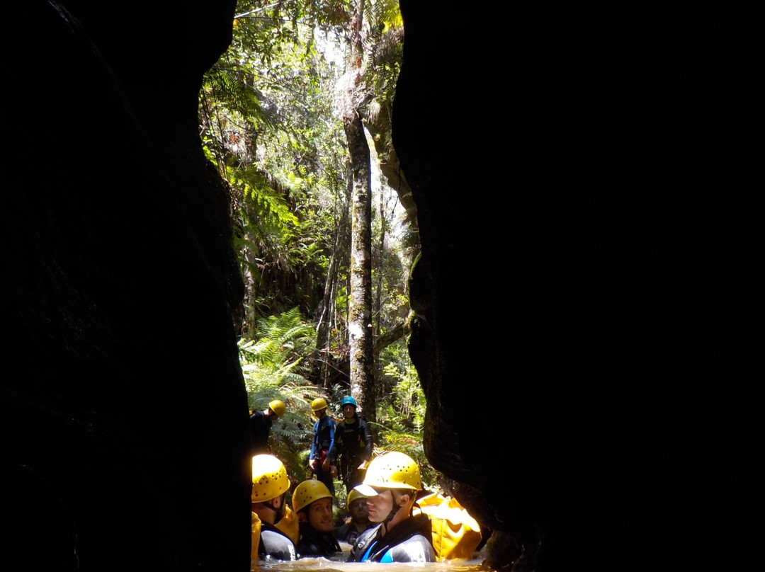 High and Wild Australian Adventures-卡通巴必去景点