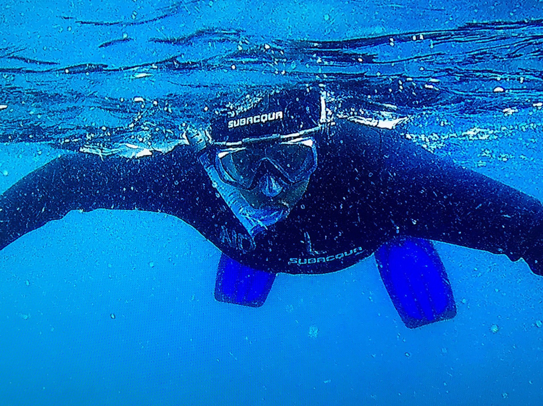 Nautidiving-阿约拉港必去景点