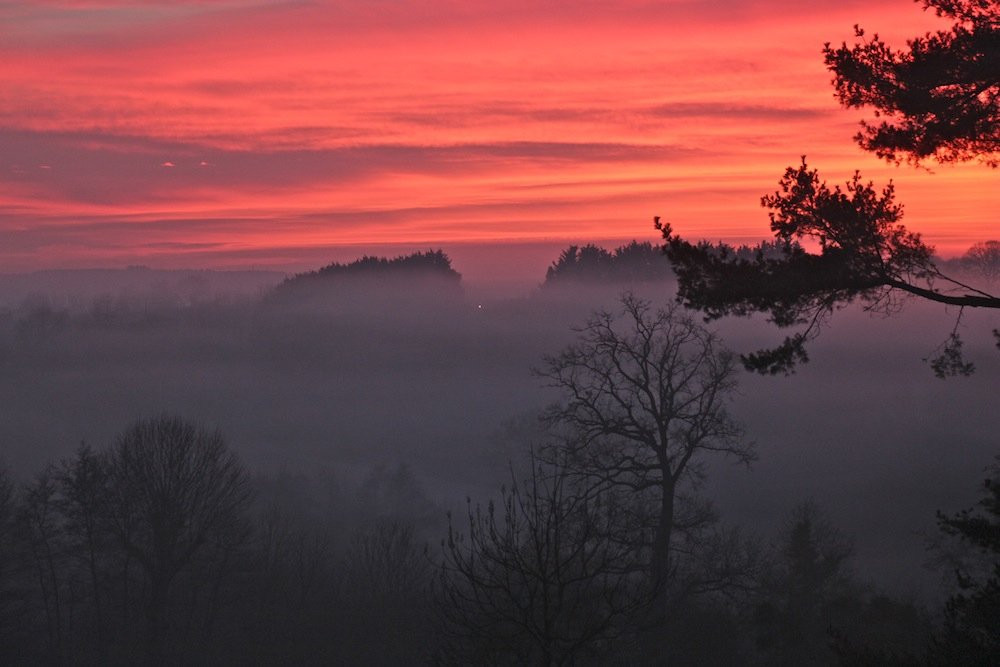 Chateau de la Mouchere主图