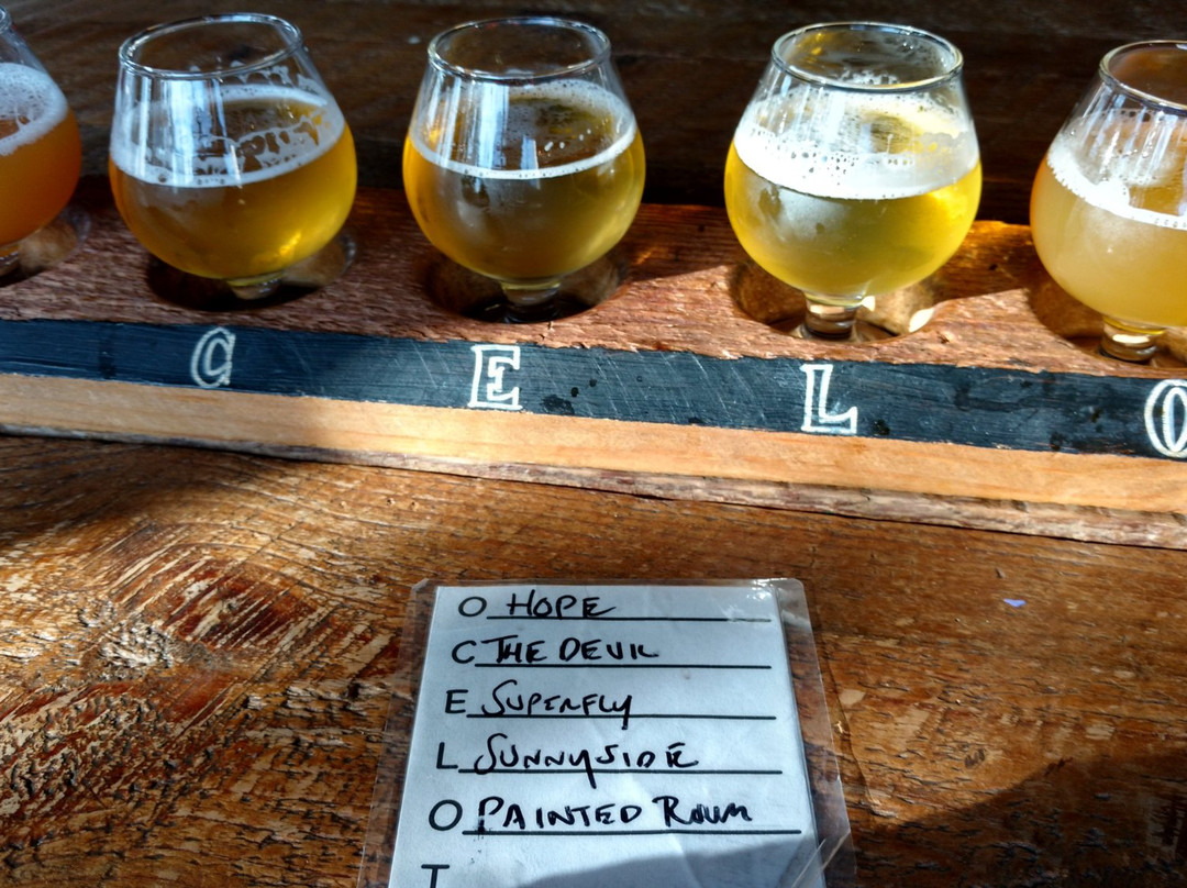 Ocelot Brewing Company景点图片