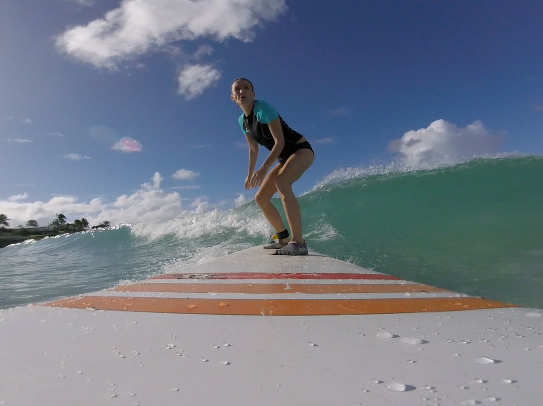 Ride The Tide Surf School-Enterprise必去景点