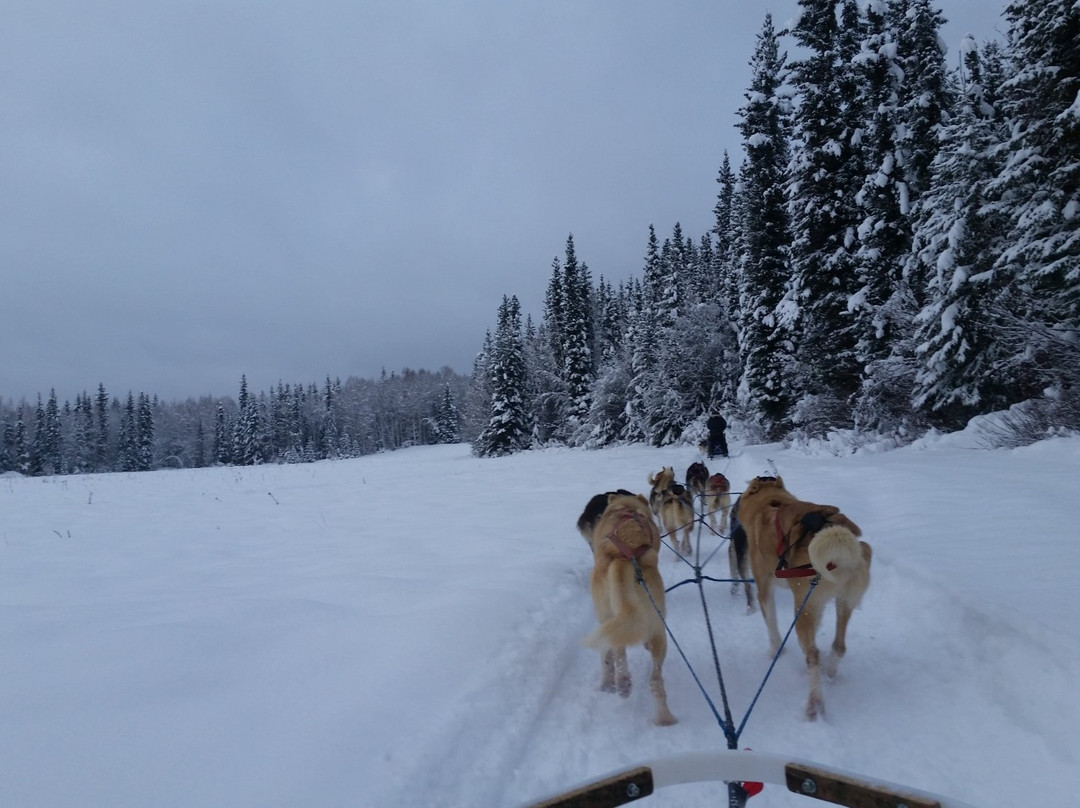 Fairbanks City Tour - Tours景点图片