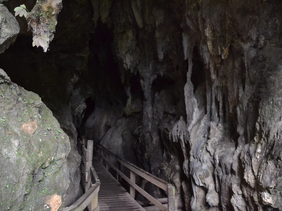 Kawiti Glow Worm Caves景点图片