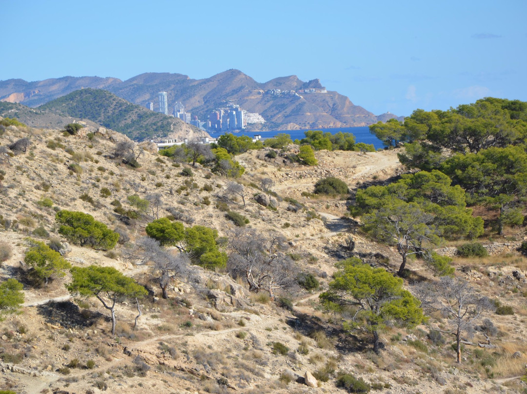 Playa Paraiso景点图片