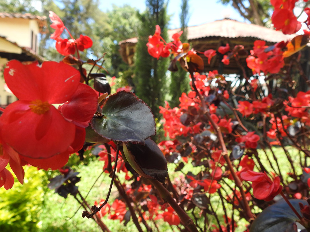 Hospedaje Andino