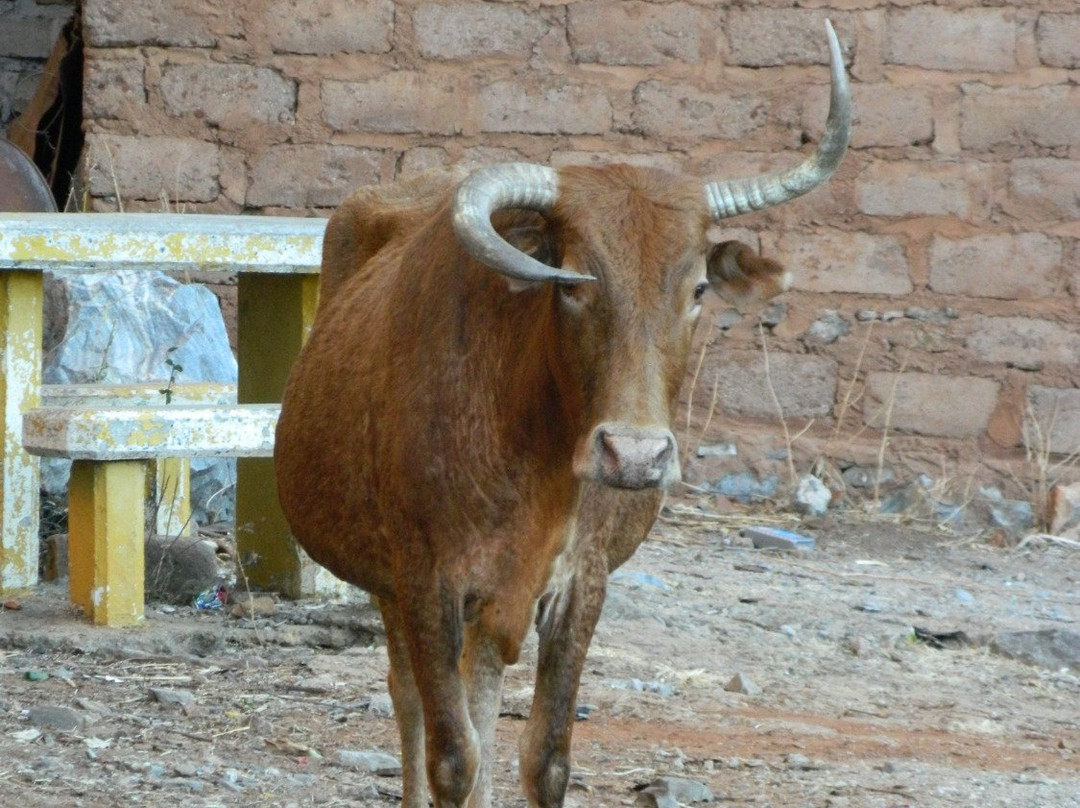 Abel Erasmus Pass-奥瑞斯塔必去景点