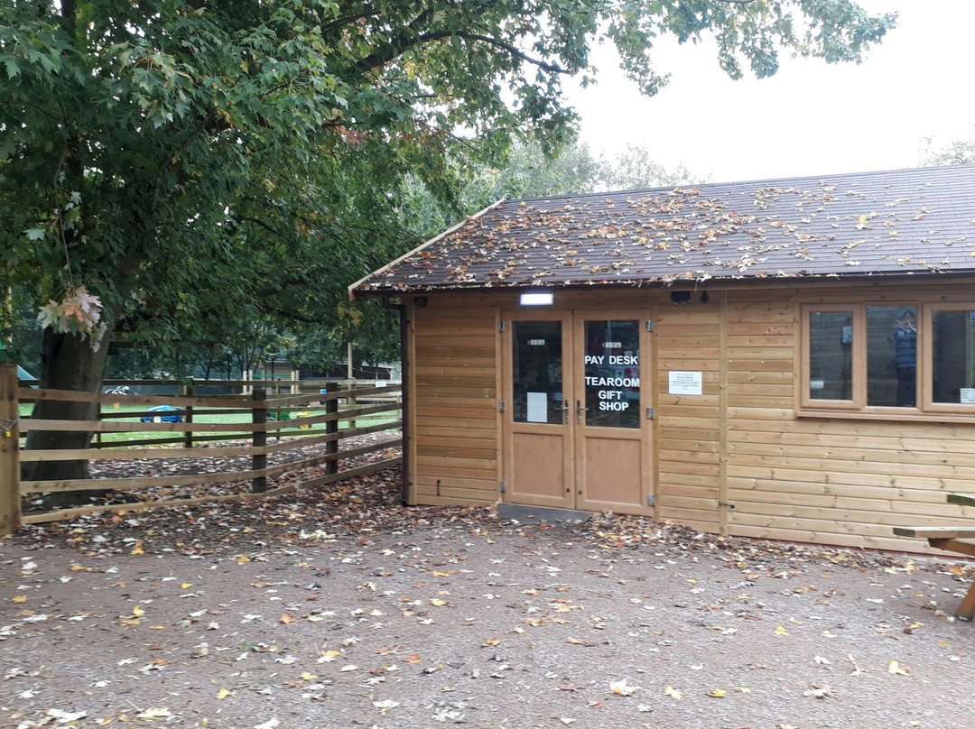 Rutland Farm Park-奥克姆必去景点