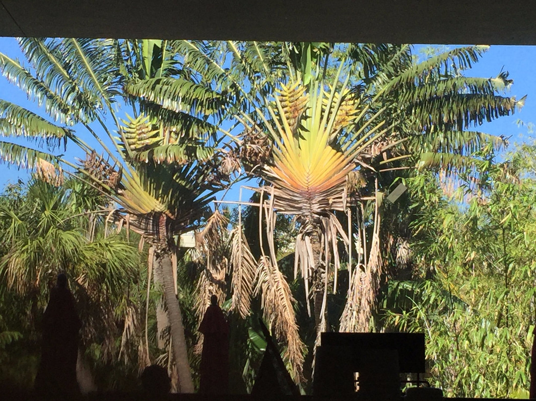 Florida Tech Botanical Garden-墨尔本必去景点