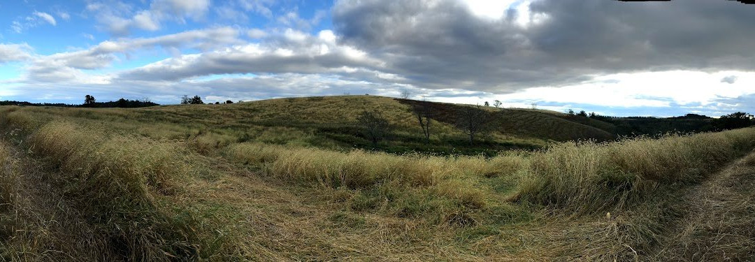 Trexler Nature Preserve-Schnecksville必去景点
