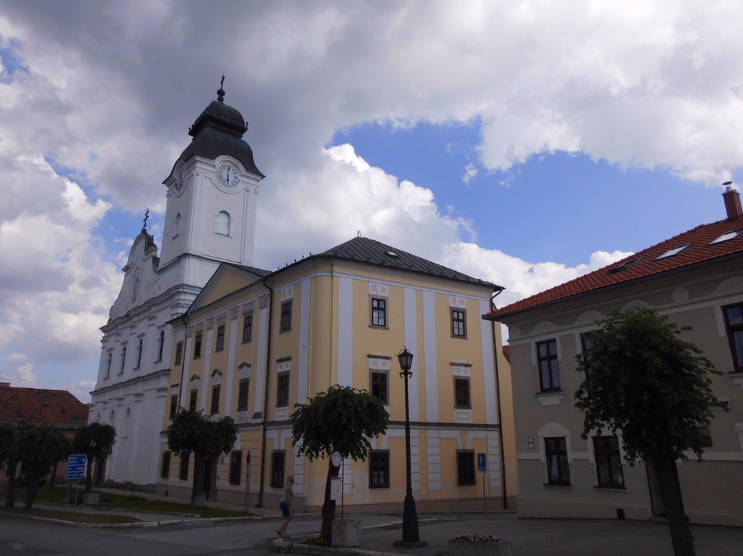 The new church and Minorite monastery in Levoca