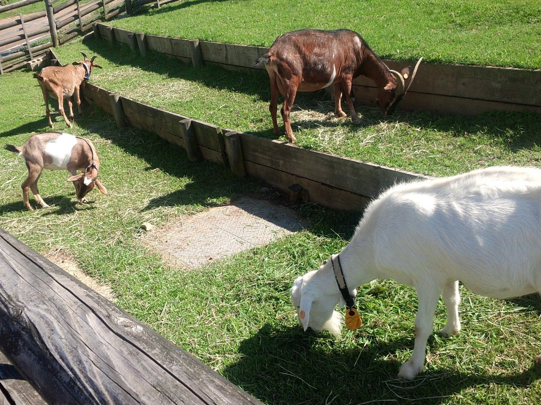 Uda Animal Park景点图片
