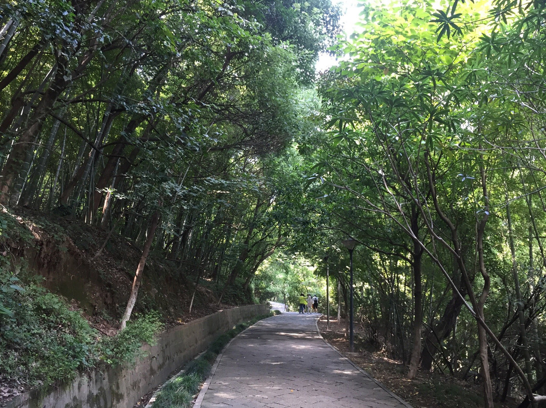 慈溪峙山公园-慈溪市必去景点