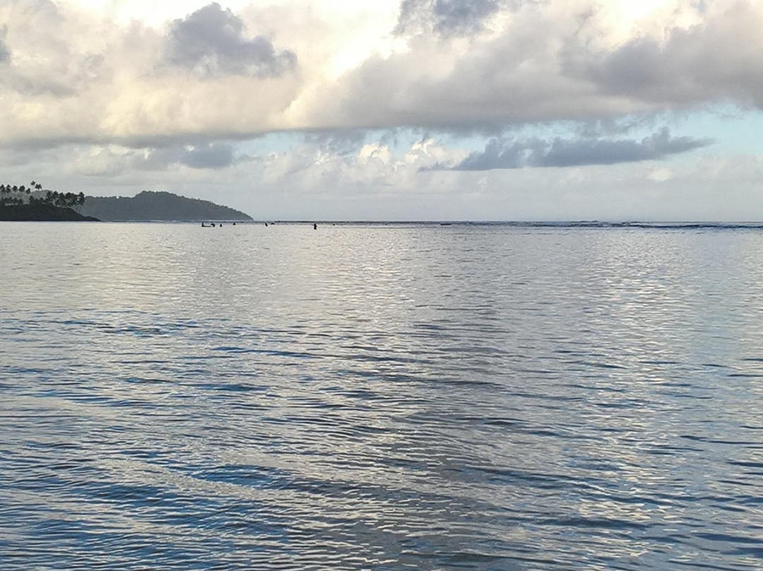 塔韦乌尼岛旅游攻略图片