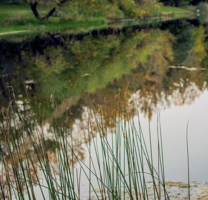 Lewis A. Jester County Park-Granger必去景点
