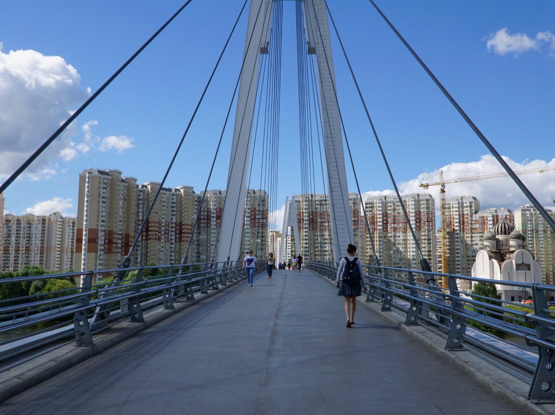Pedestrian Bridge Pavshinskaya Poima景点图片