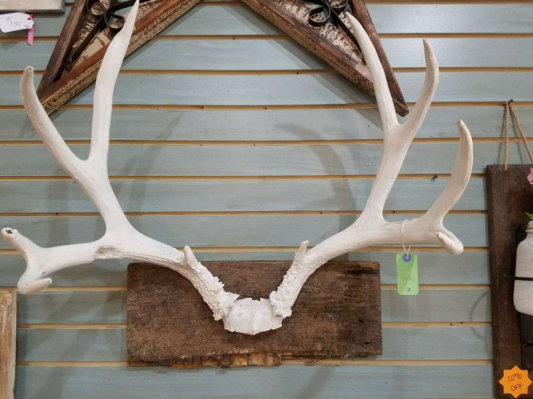 Cherish Every Moment-斯汤顿必去景点