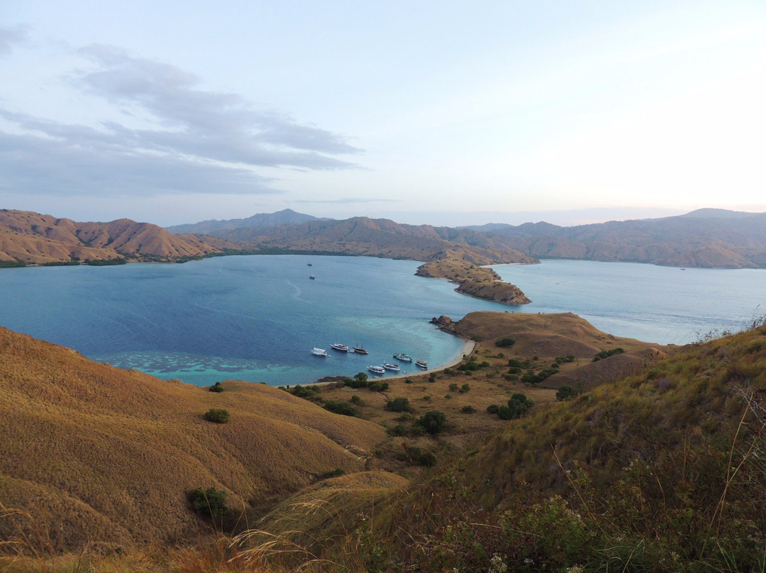 Pengah Reef景点图片