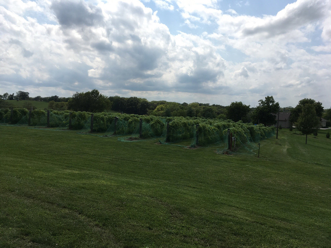 Ladoga Ridge Winery-Smithville必去景点