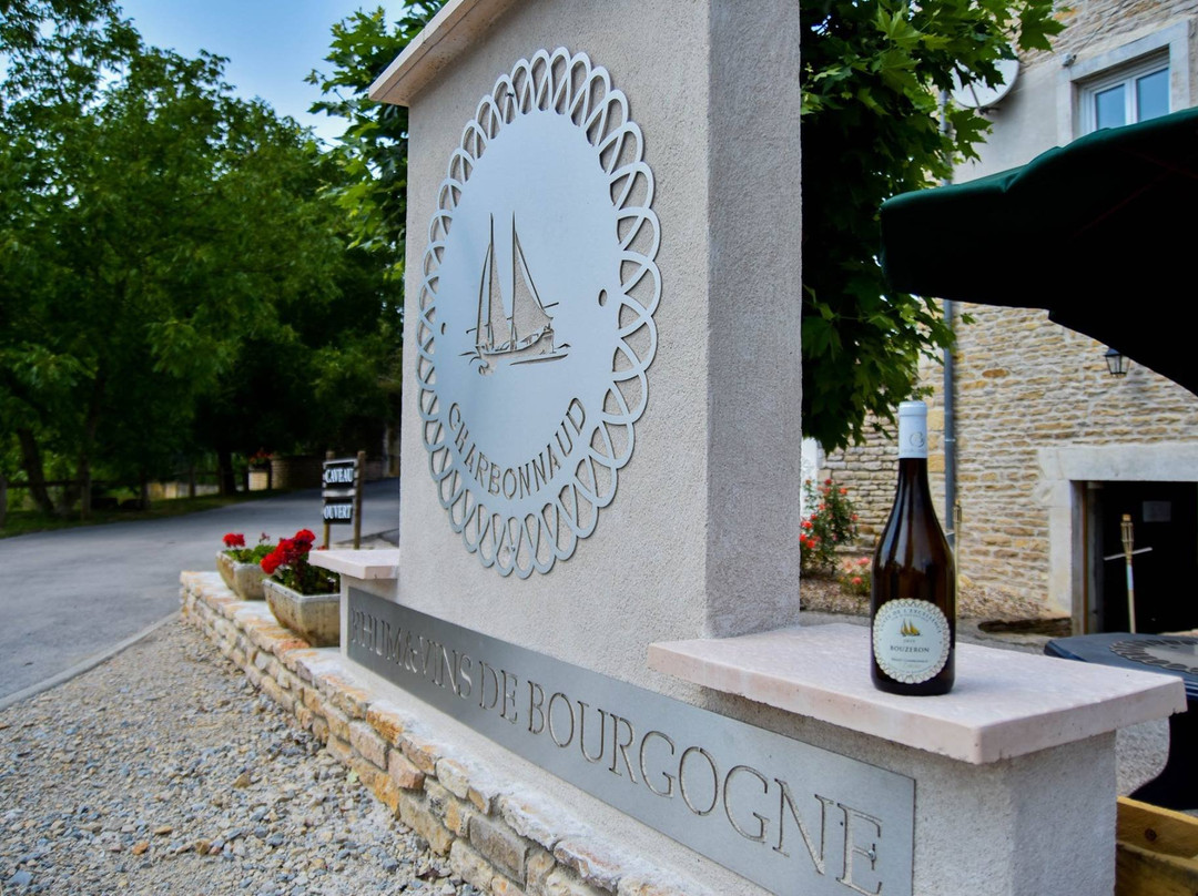 Domaine Charbonnaud-Bourgogne景点图片