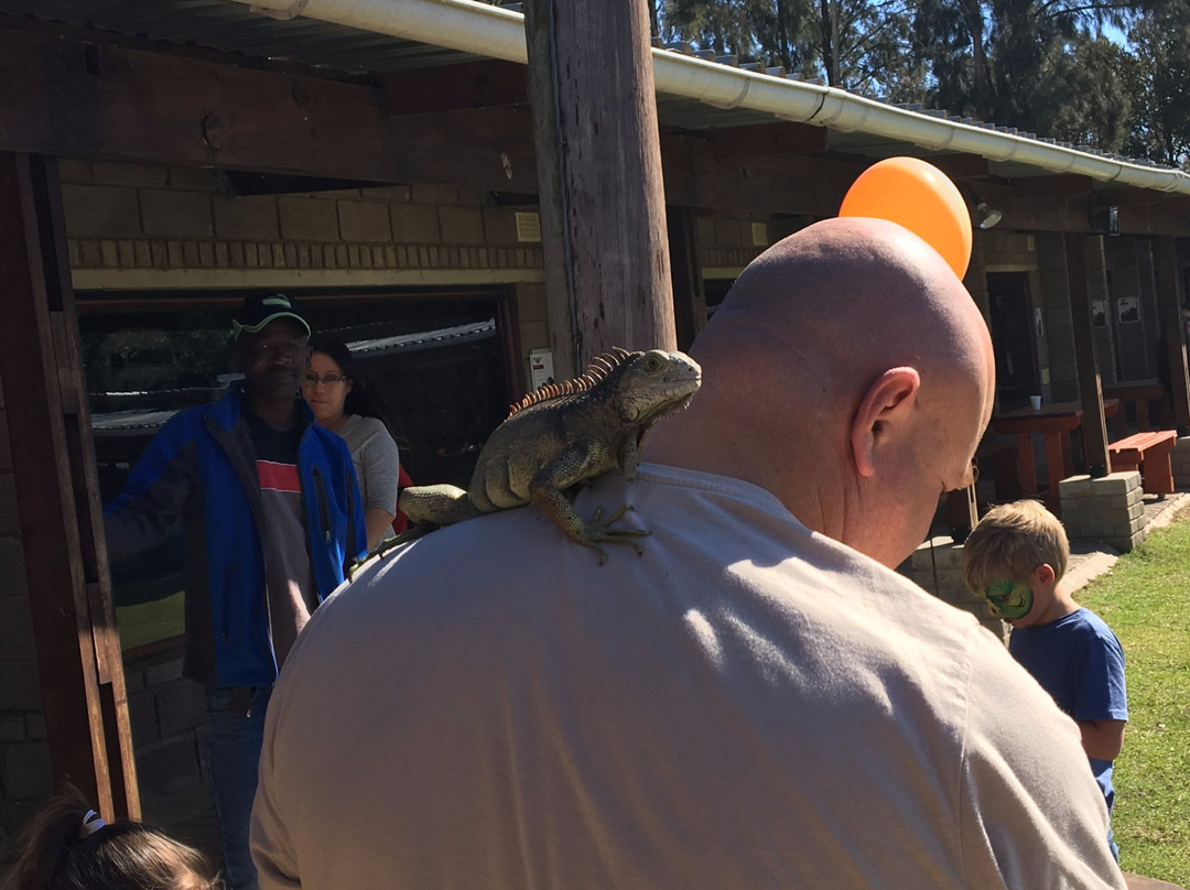The Venom Pit Snake Park-东伦敦必去景点