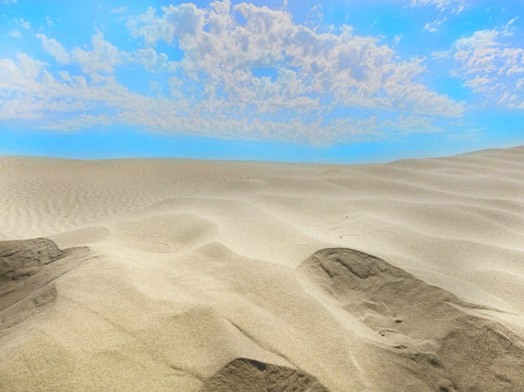 Great Sandhills Museum & Interpretive Centre-Sceptre必去景点