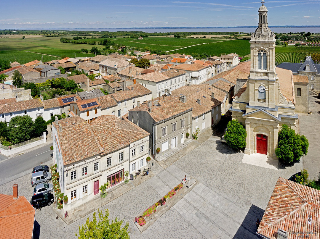 Maison du Vin de Saint-Estèphe景点图片