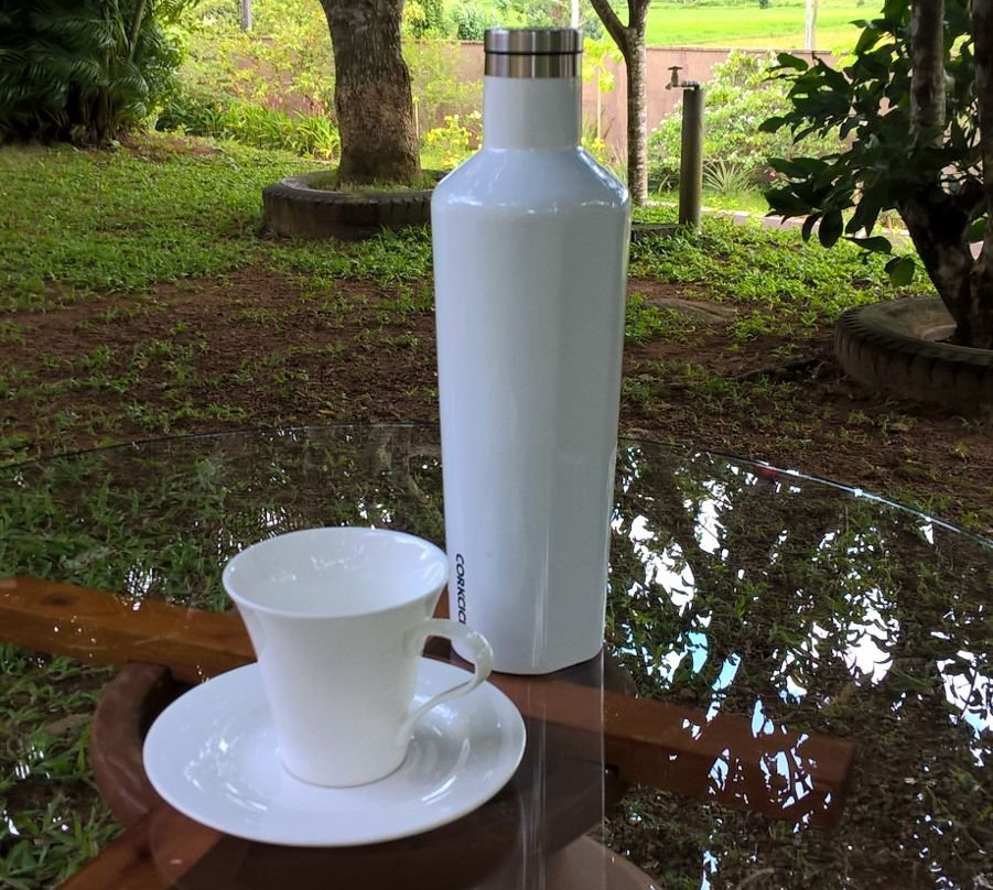 Ayurveda Lush Life Villa主图