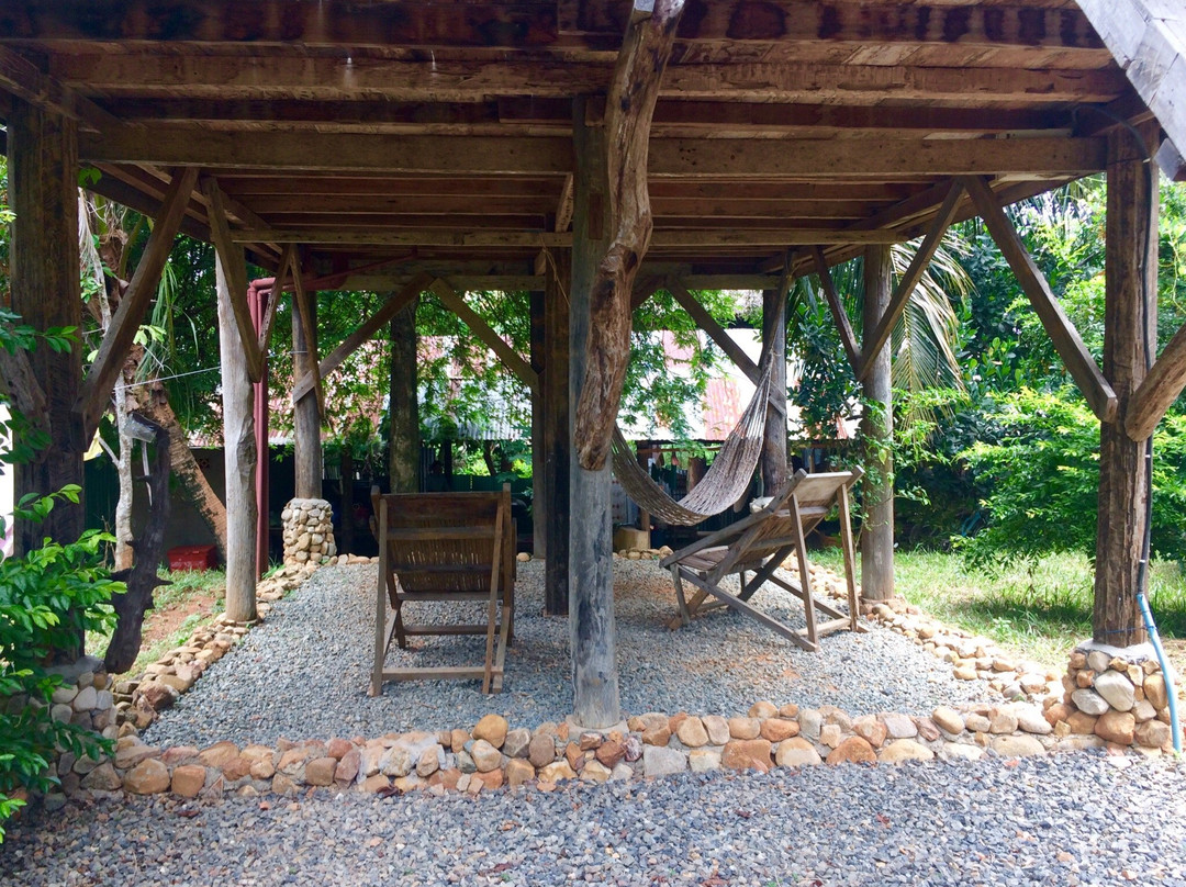 Tree Top Bungalows