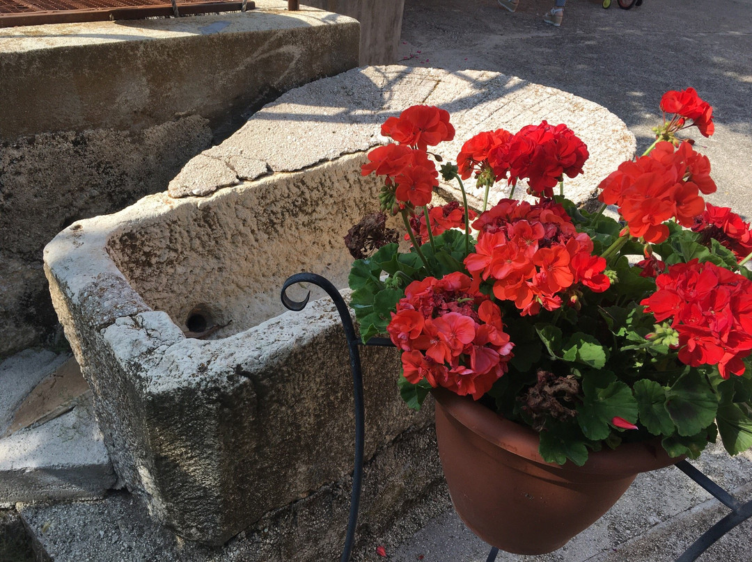 Agriturismo la Fattoria