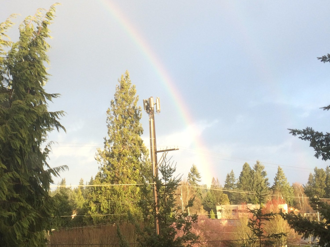 Johnny's Wok Chinese Cuisine