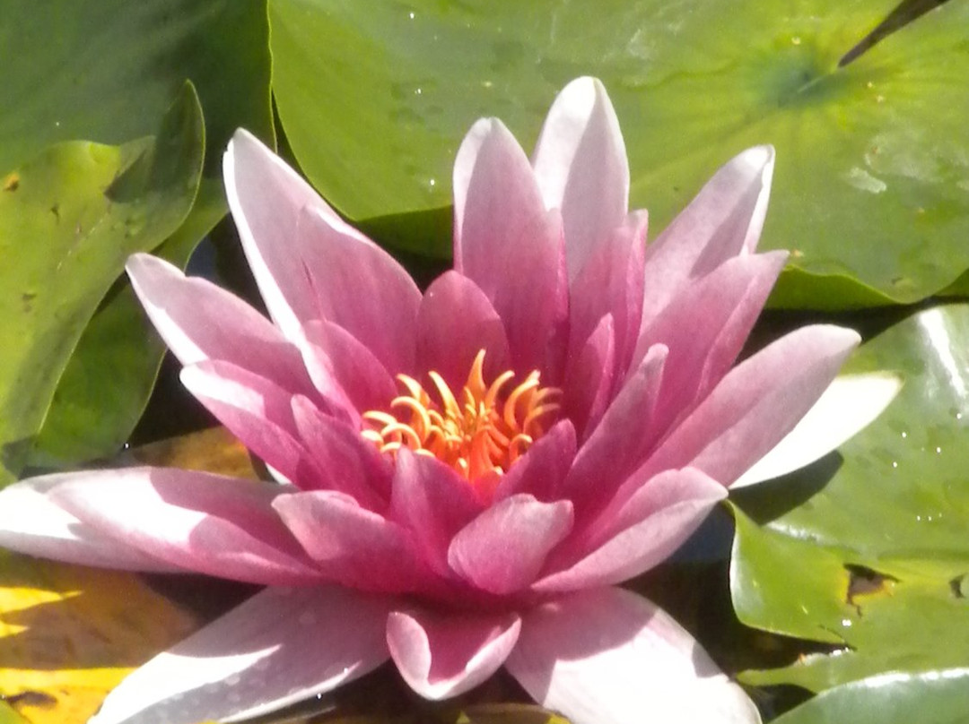 Associazione Turistica Renon-Collalbo必去景点