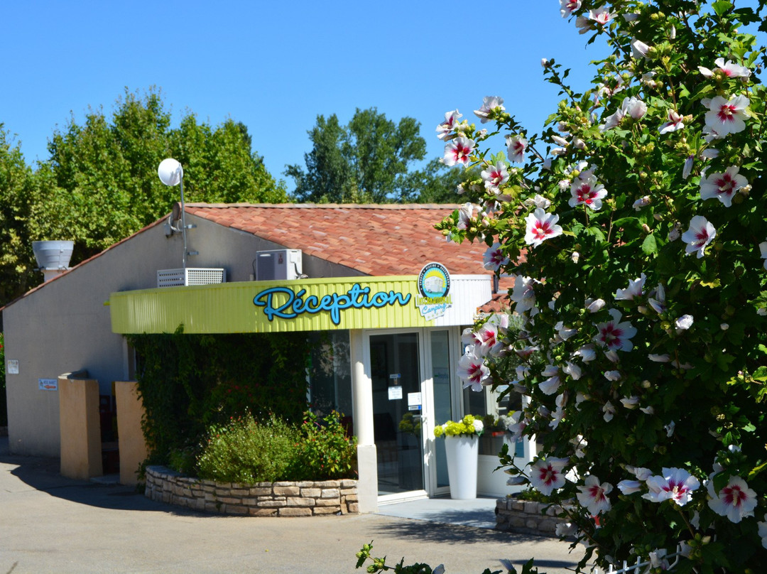 International Camping Ardèche
