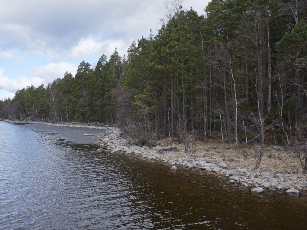 Malonsaari Island-Imatra必去景点