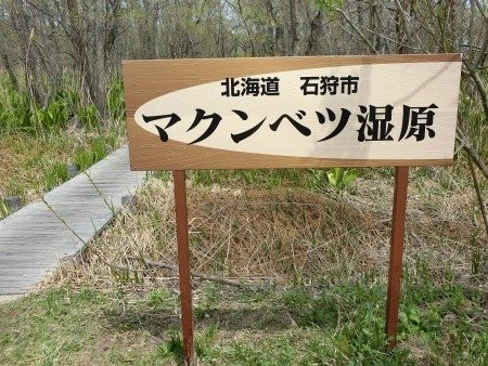 Makumbetsu Marsh-石狩市必去景点