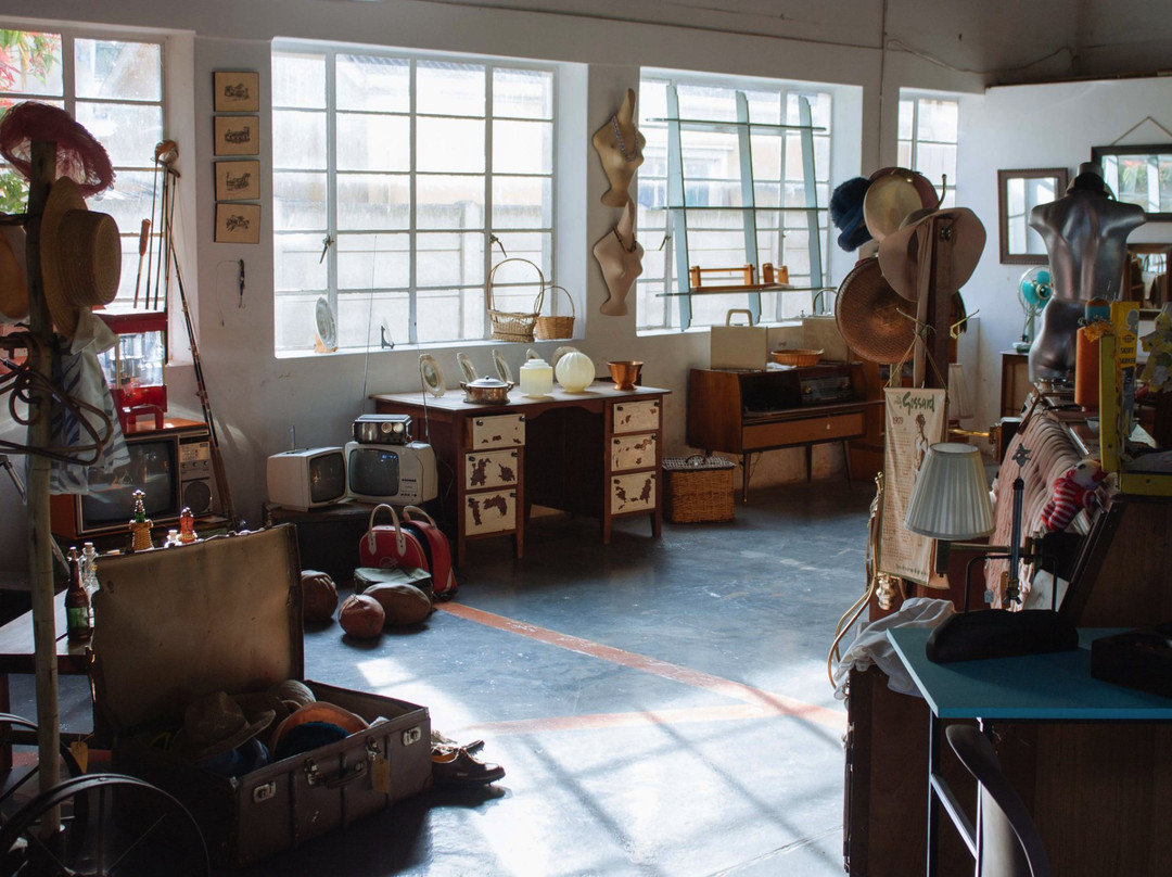 Newly Defined-艾尔弗雷德港必去景点