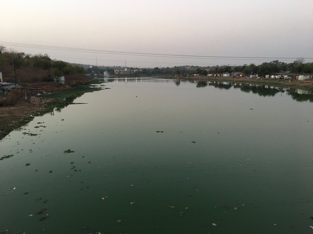 Bhadbhada Dam景点图片