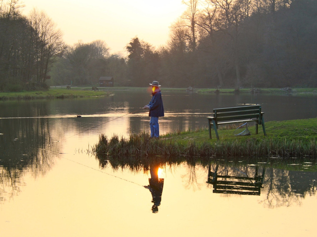 Albury Fisheries景点图片