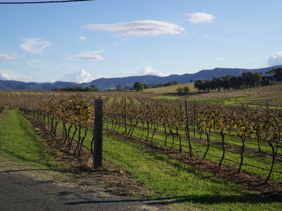 Peacock Hill Vineyard景点图片
