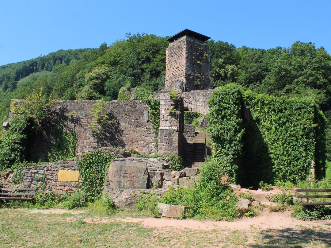 Hirschhorn (Neckar)旅游攻略图片