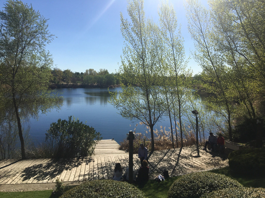Las Lagunas de las Madres景点图片