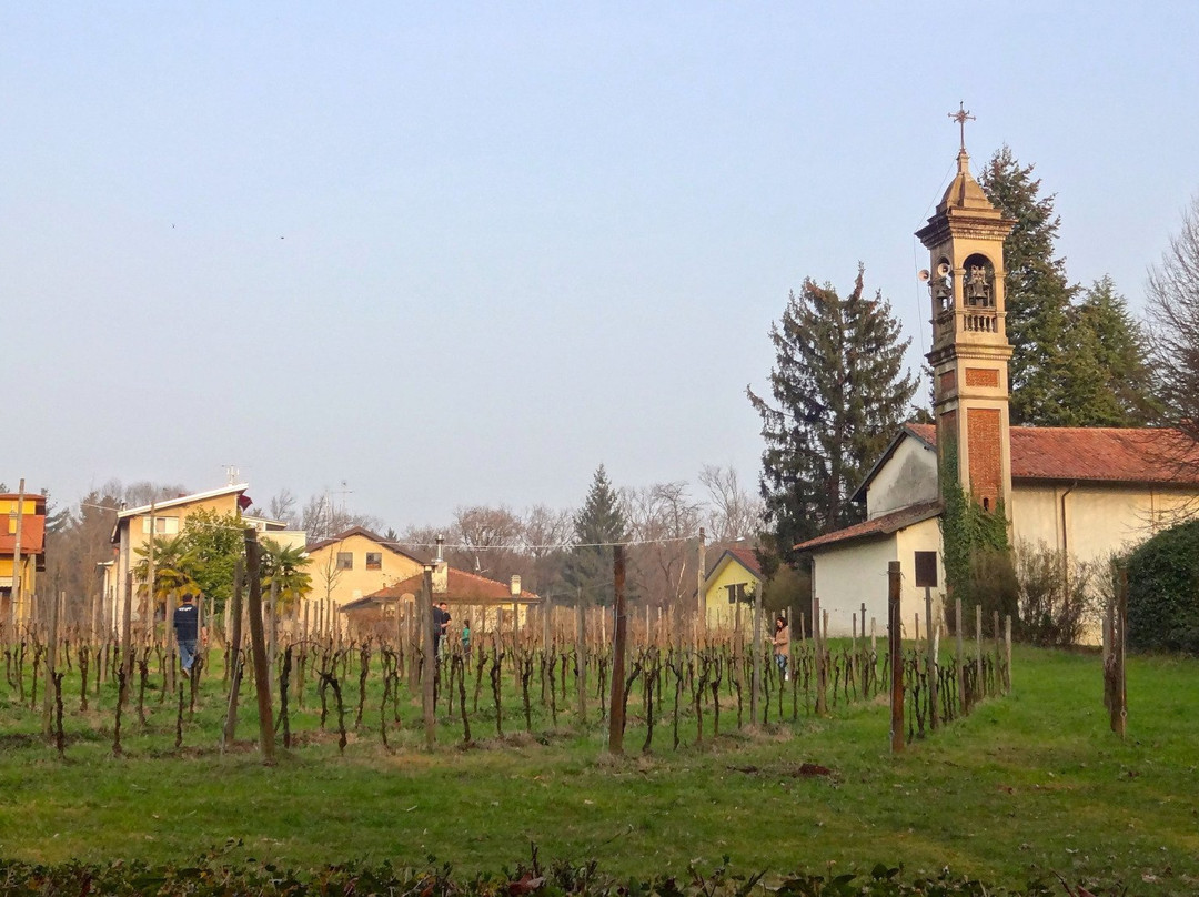 Santuario Madonna delle Vigne景点图片