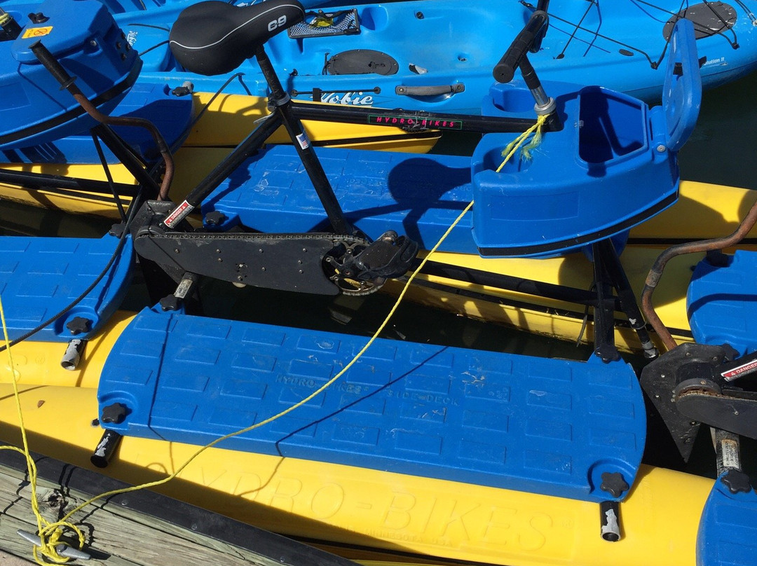 Tampa Bay Water Bike Company-坦帕必去景点
