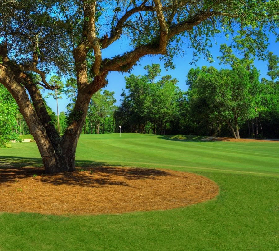 The Oaks Golf Club景点图片