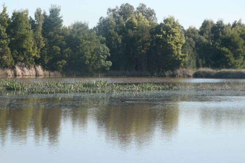 Koolamara Water Reserve景点图片