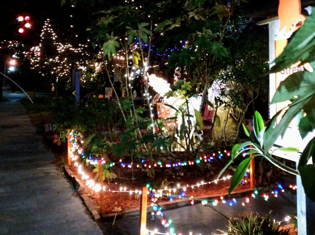 11th Street Gallery-布雷登顿必去景点