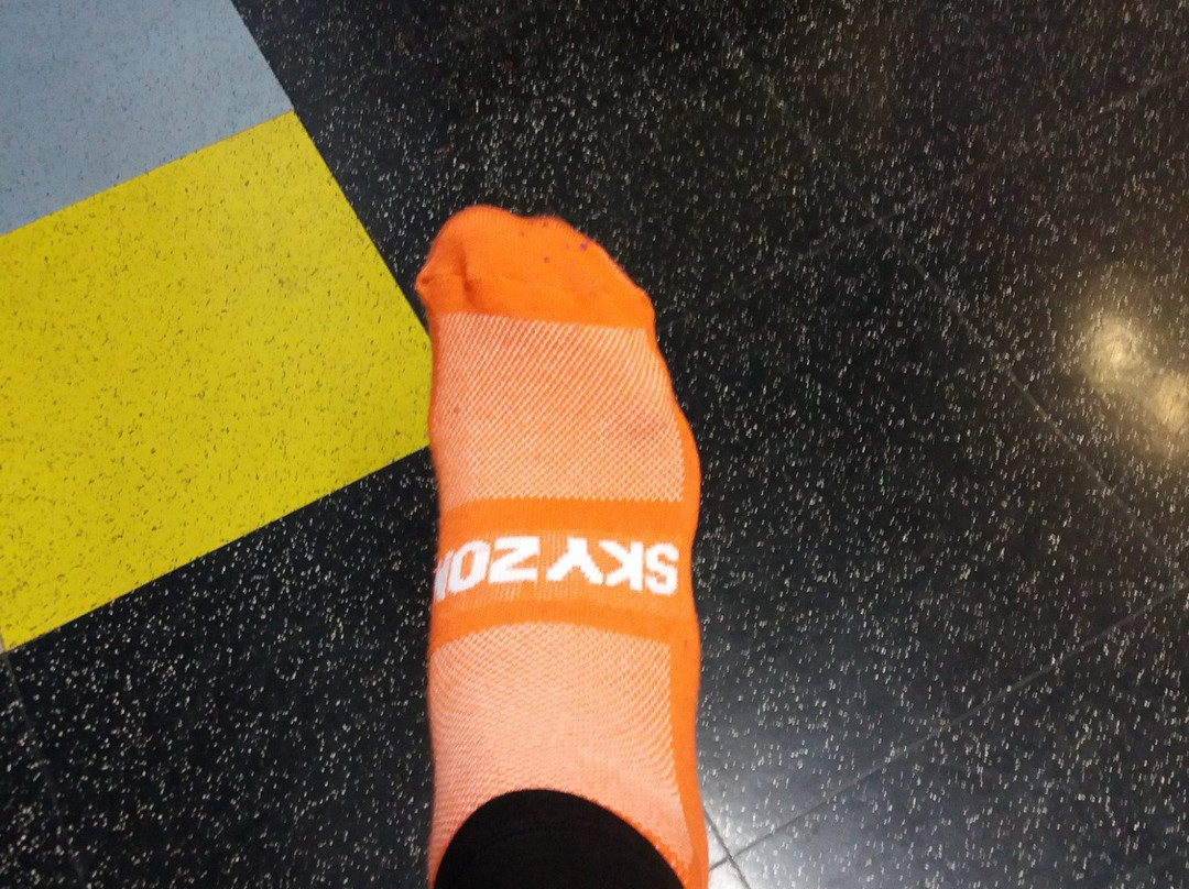 Sky Zone Trampoline Park-多拉必去景点