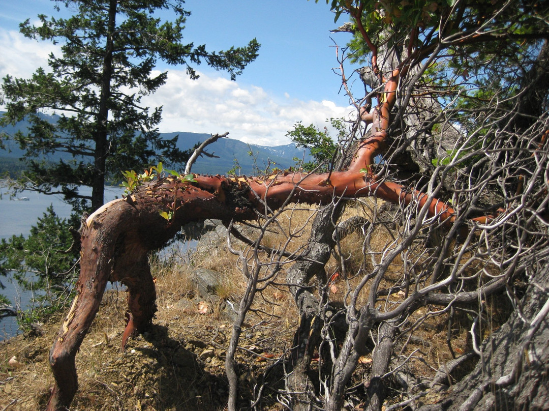 Boyle Point Provincial Park景点图片