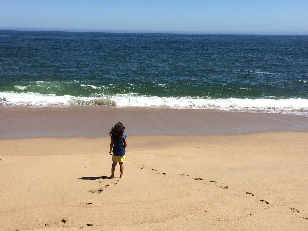 Playa de Pingueral-Dichato必去景点