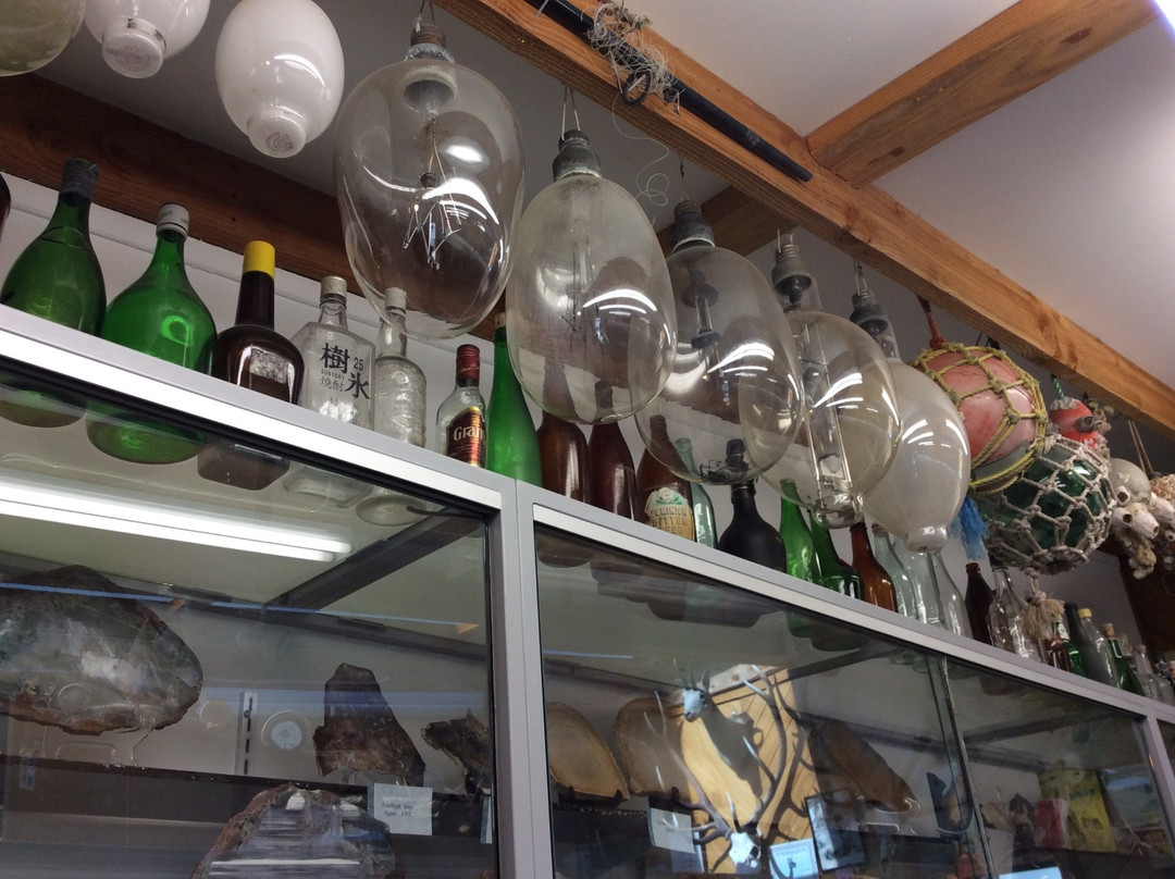 Gemstone & Fossil Museum景点图片