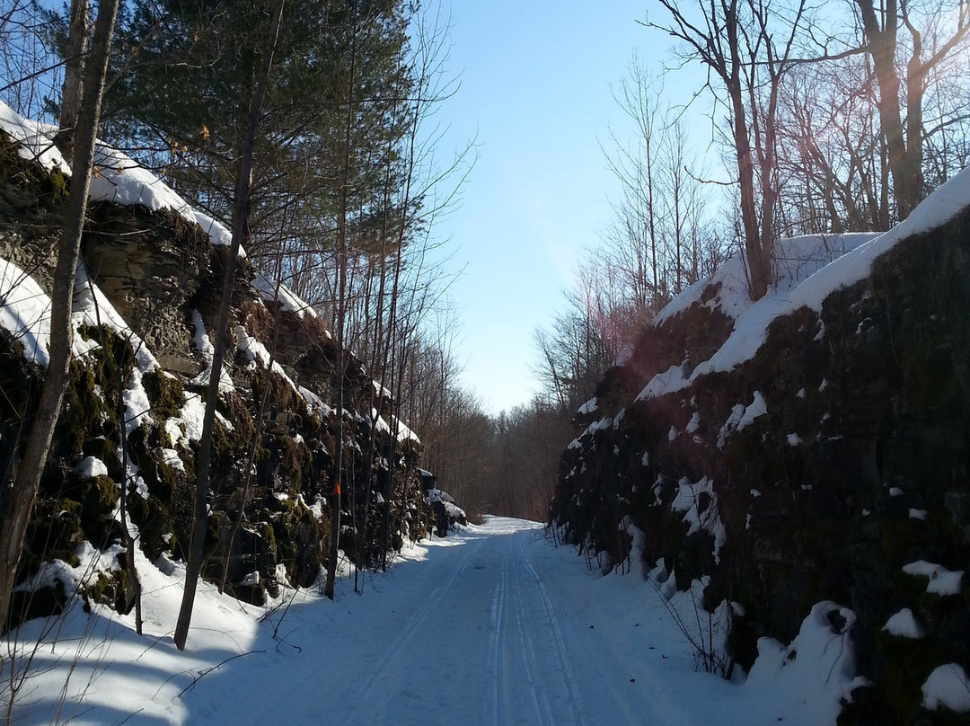 Cataraqui Trail景点图片